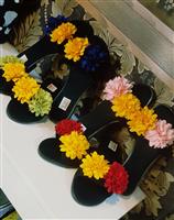 صندل گلبرجسته